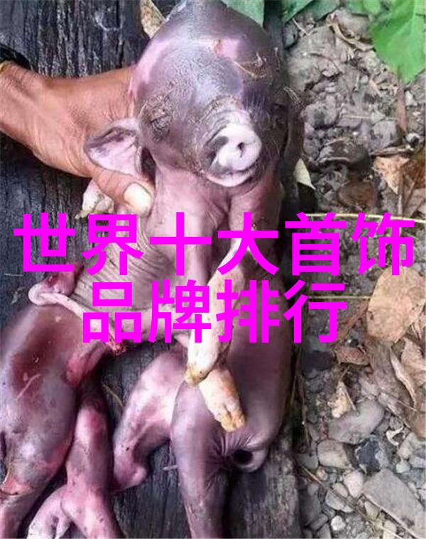 你家具批发联系方式全在这里