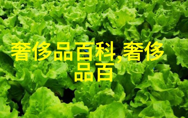 海王祭txt下载-沉默的海洋揭秘海王祭世界的奇幻故事