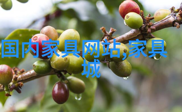 夏日星辰下的文学旅途