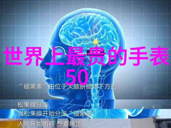 金善雄 - 金善雄企业家精神与慈善事业的完美结合