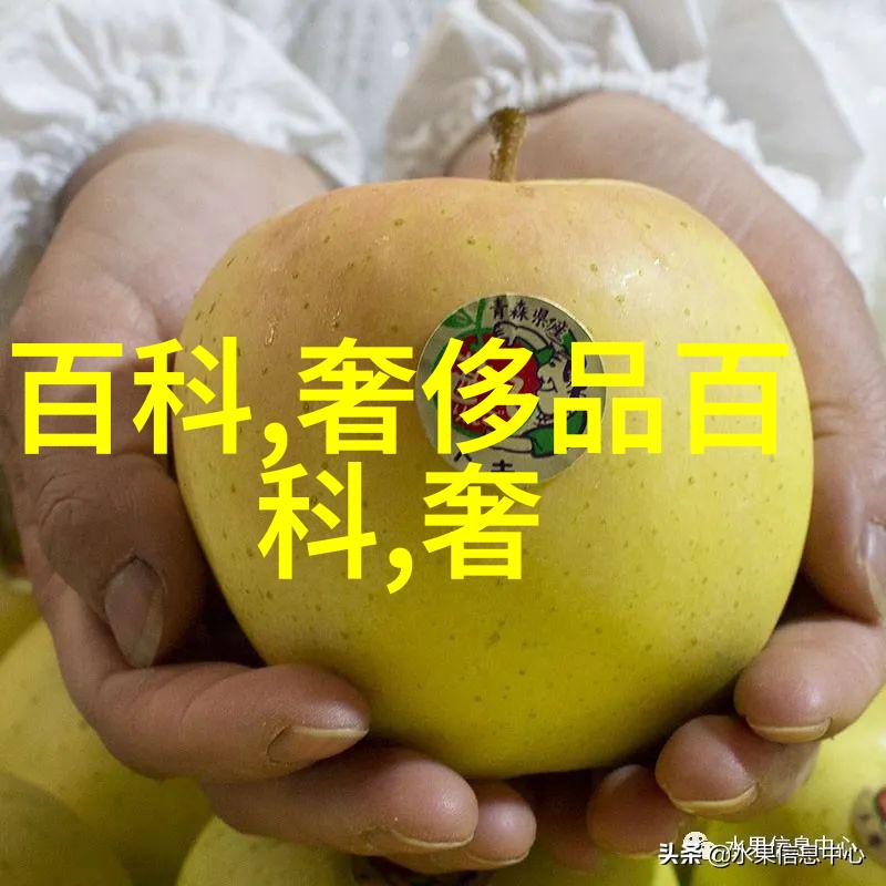 瓦伦蒂诺的秘密他真正的爱情是什么