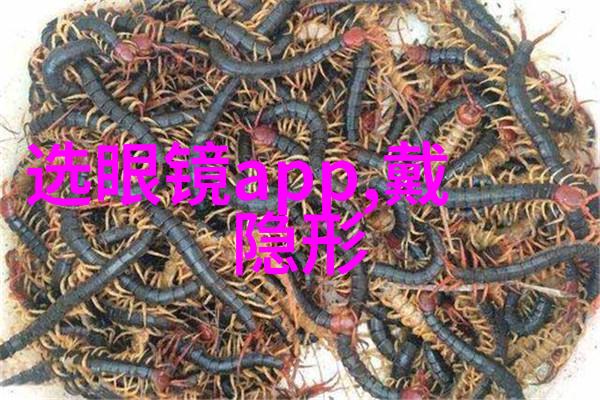 北京乾坤门美发教学 - 梦幻秀发学成掌控北京乾坤门的美发艺术之旅