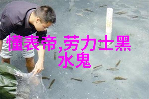 彩虹圈绚烂的色彩与和谐的共鸣