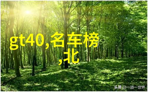 云海之下追逐梦想的翅膀云海中的风全文免费阅读