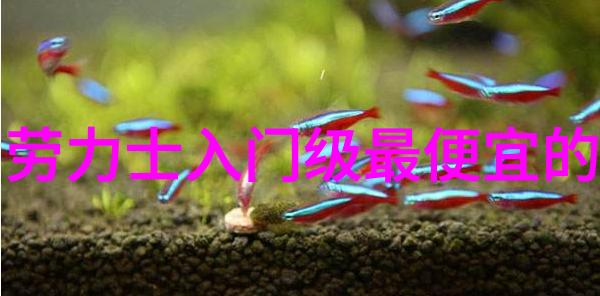 劳力士官网旗舰店我在这儿找到了时间的味道