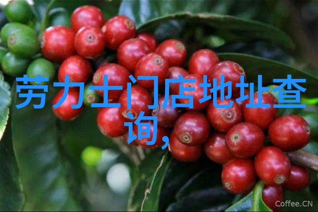 美发潮流解析如何通过视频网站提升你的发型设计技能