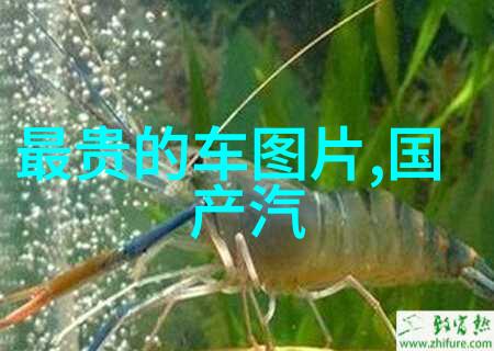 星际第一技师穿越时空的修复大师