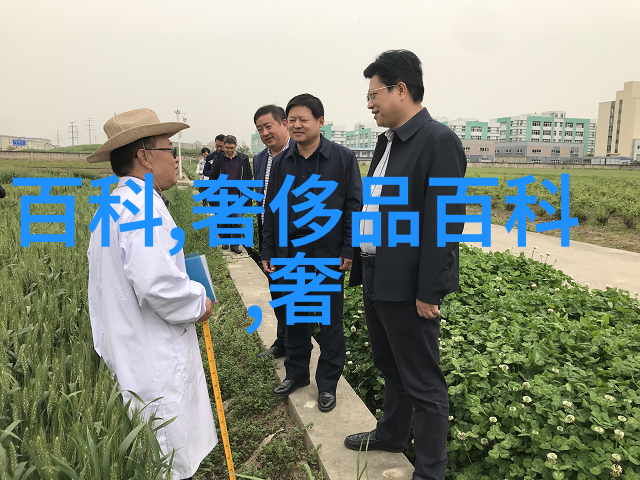 绑匪传奇我如何被绑匪困在了这个神秘的故事中