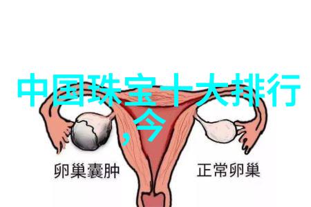 回到过去变成猫一场时间与形态的奇遇