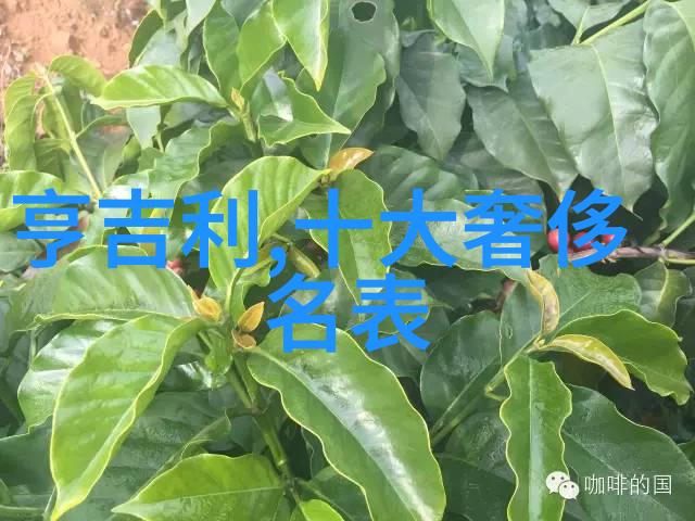 美特家在中国家居用品商城爱与幸福美味在厨房中创造社会温馨情感