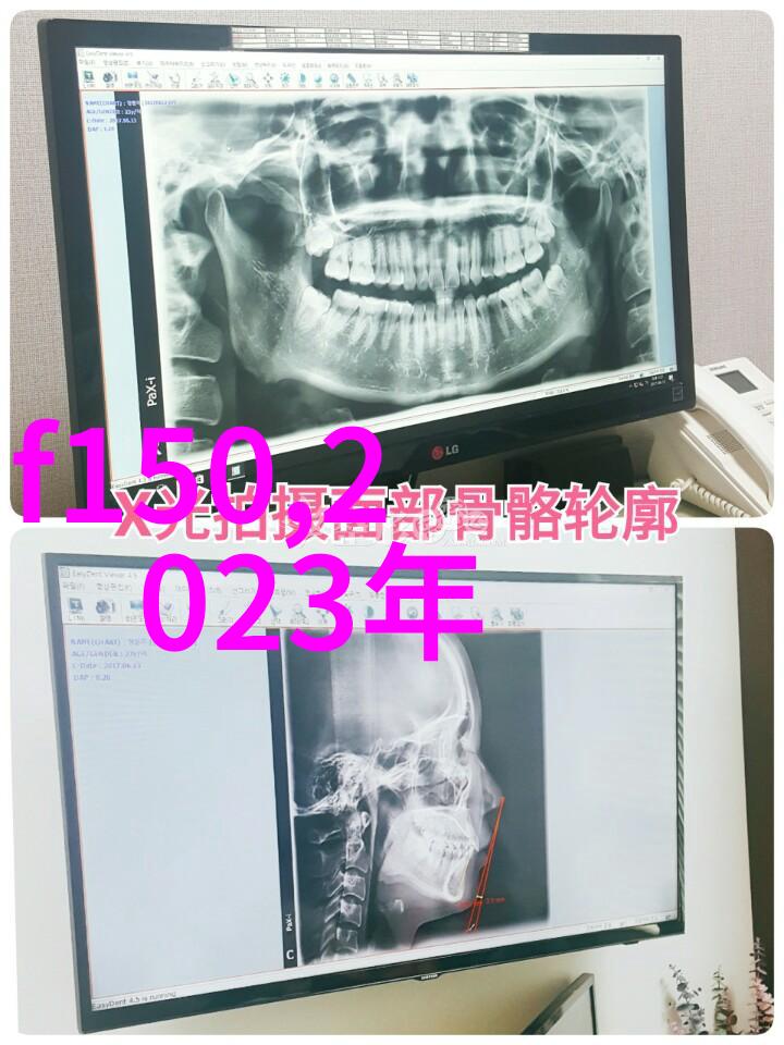 4KTubexxHD的色彩盛宴