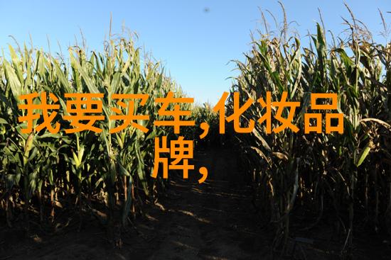 三问表解密古老智慧的编码之谜