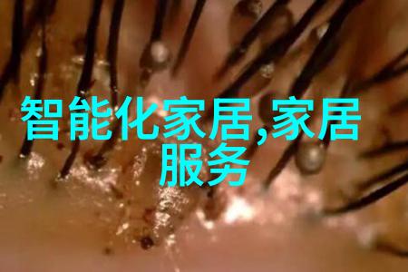 美发中国十大学校-绽放华夏之冠深度探究美发中国十大学校的学术成就与行业影响力