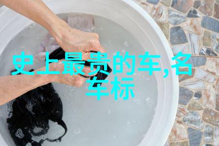 交换系列探索连接与变化的艺术