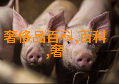 被遗忘的孤岛我在荒凉的沙滩上发现了一个秘密
