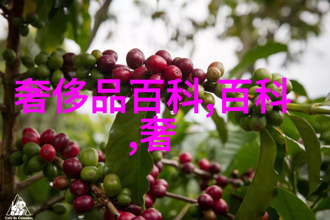 深度视觉奇观3D效果图的艺术与技术