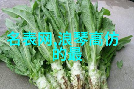 从风平浪静到波涛汹涌汤丽柏琦探索RICHARD MILLE潜水腕表的奇迹