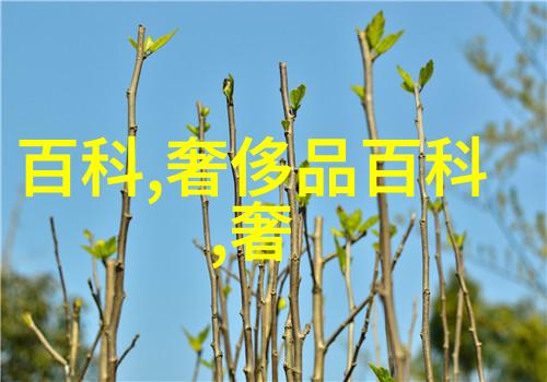 职位-副手的重任探索副官的职业生涯