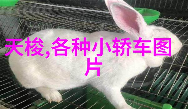 2018年走红地平线的传奇人物追忆去世名人的华丽足迹