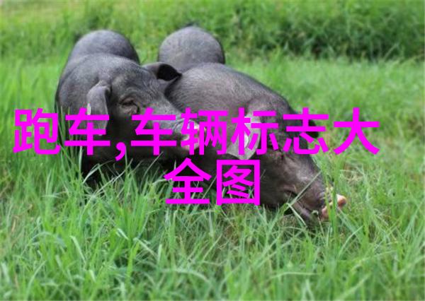 瑰夏1V2逆袭之路的交错与选择