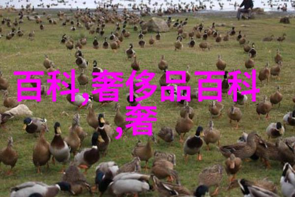 男儿发型大集合从帅气到搞笑一切尽在此处