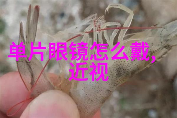 数字文化-1111数字之谜与文化背后的秘密