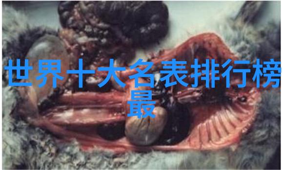 棒棒糖放屁眼里一天吃了视频我是如何在直播间意外尝试甜蜜爆笑新奇口味的