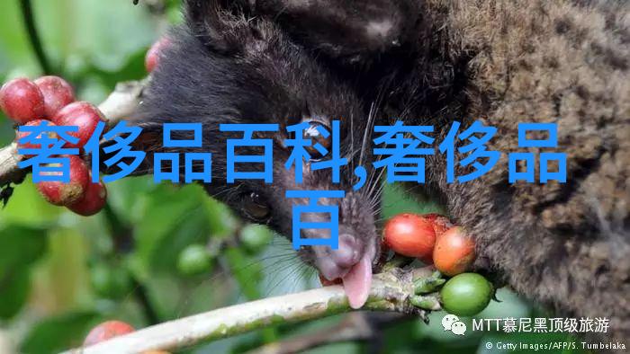 用户心声分享在用上4399枪魂修改器后的一些感受与经历