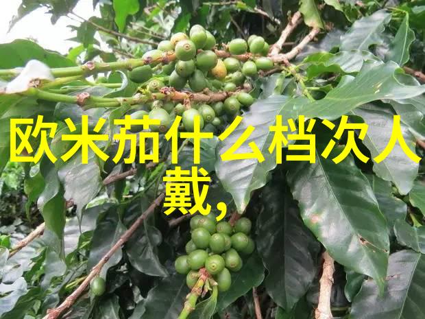 男士香水挑选指南了解保质期别错过最佳选择时机