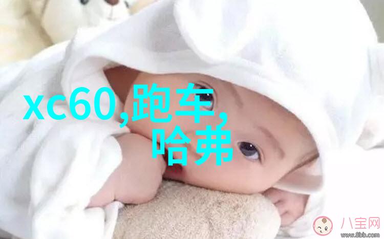 艺术的殿堂探索114大的人文魅力