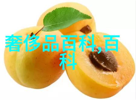 镜中人探索眼镜的故事与文化