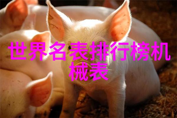奢贵优雅品质 SIHH高级腕表沙龙秀