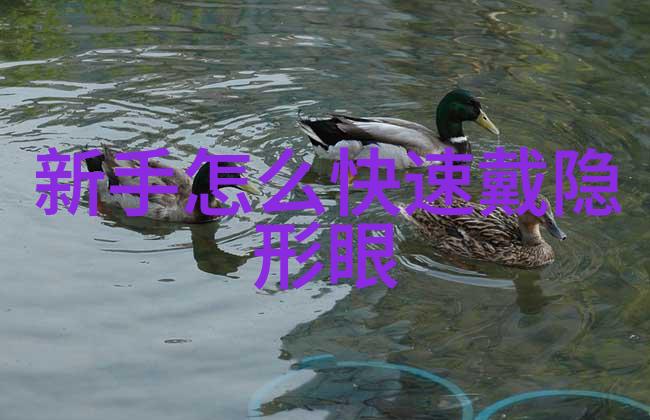 张绍刚刘莉莉的爱情故事追逐梦想与永恒的承诺