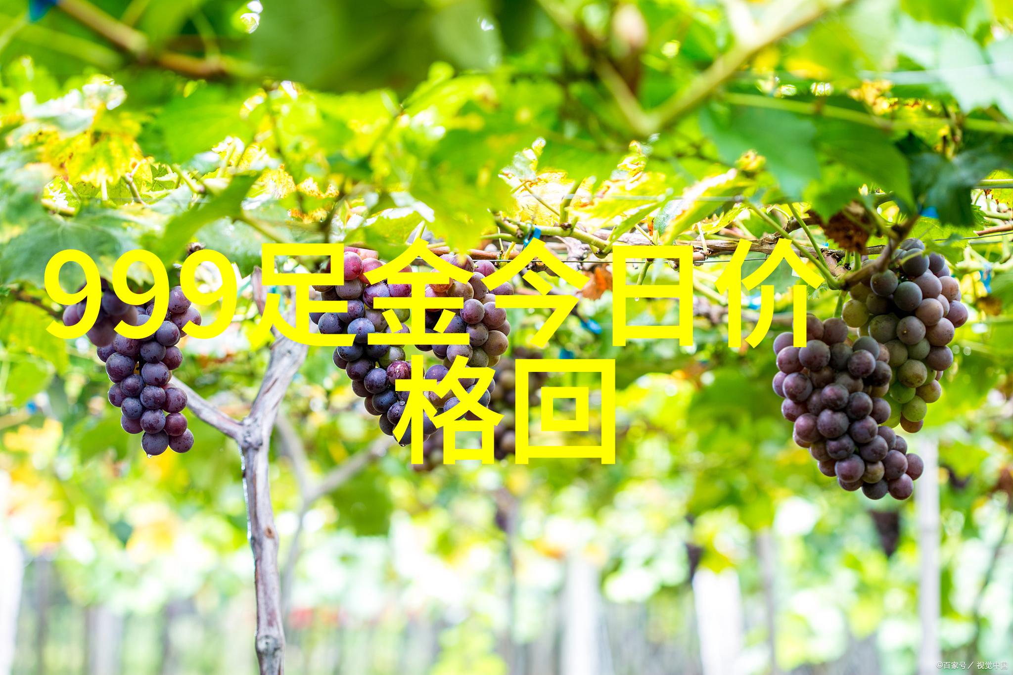 最新时尚短发简约而不失魅力