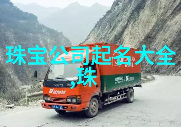 学长的棒子文学生涯中的启示与挑战