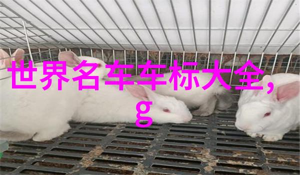 头发知识与理论剖析头发生长机制与护理秘诀