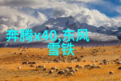 时尚绽放探索成熟男士发型图片的艺术魅力