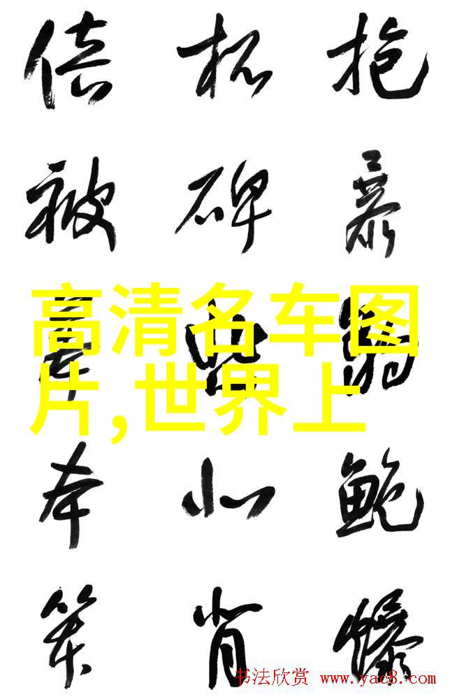 美发艺术的起步如何在短时间内掌握基础知识