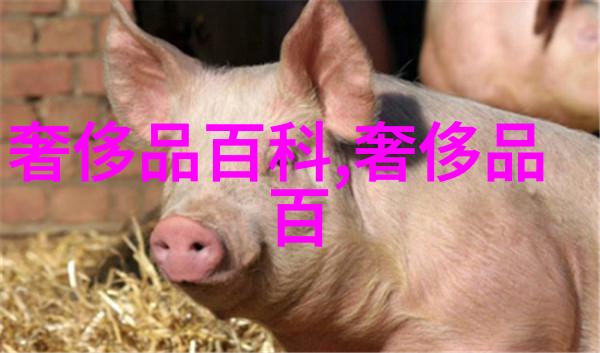 4ktube xxhd我是如何发现一个超清晰的视频网站的