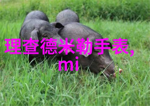 未来科技创新中可能会出现什么新的基于2233B的产品或服务