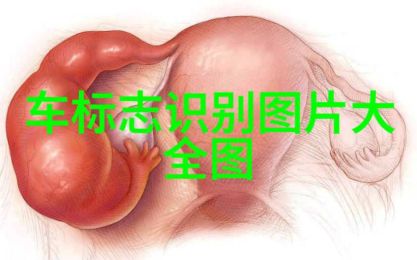 敢爱大结局我为何在勇气的边缘上选择了爱