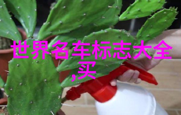 龙抬头之日传统理发仪式与春意盎然的二月二庆典