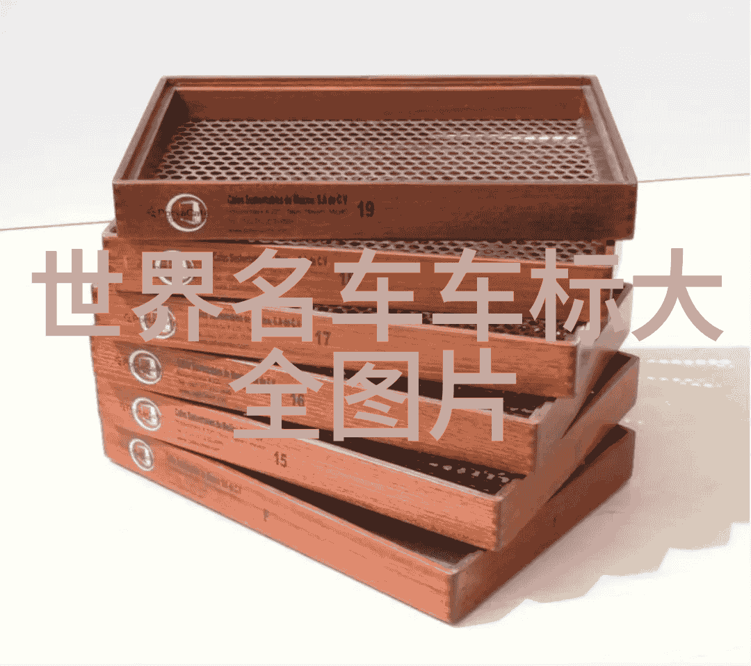 张宇背后的舞娘纤细与力量的交响曲