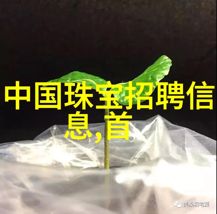 我爱篮球我的阿迪达斯篮球鞋故事从街头到赛场