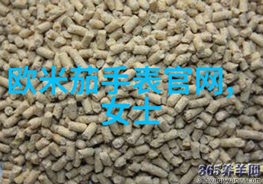 免费热风女鞋测评揭秘时尚趋势一站式体验