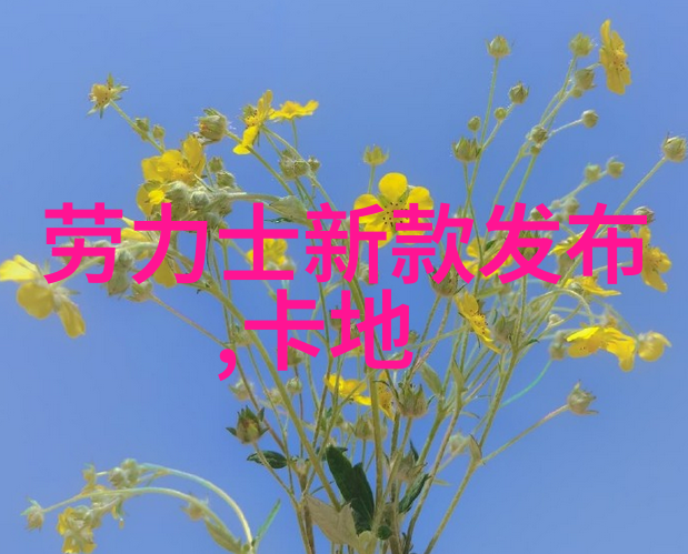 盖世战神穿越时空的英杰