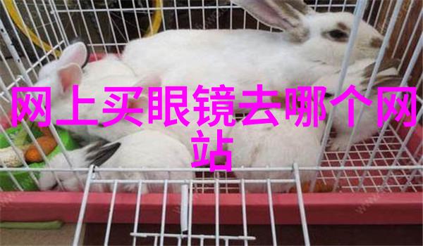 家具和家居有什么区别 - 家居装饰与日用品的完美结合