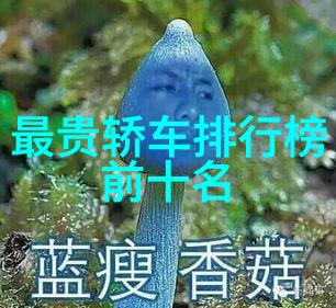 原始战记古老战争的见证者