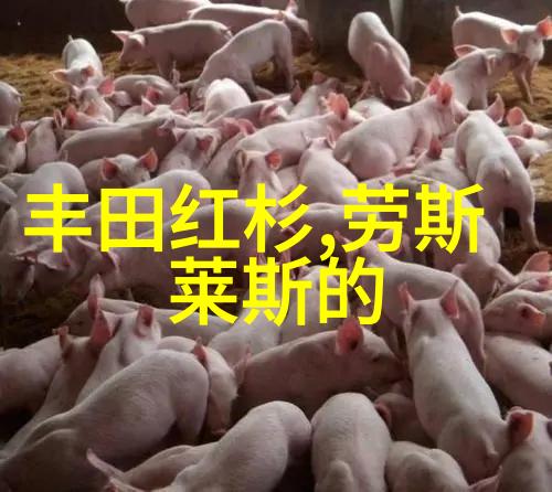 小清欢未删减版番外篇真人版角色互动情感戏剧