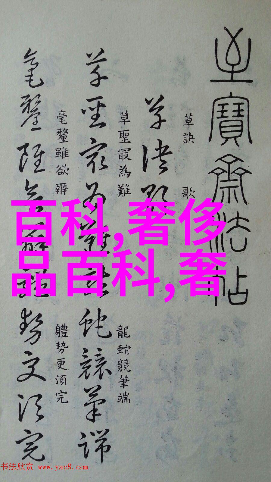 超越极限探索练级专家的秘密之道